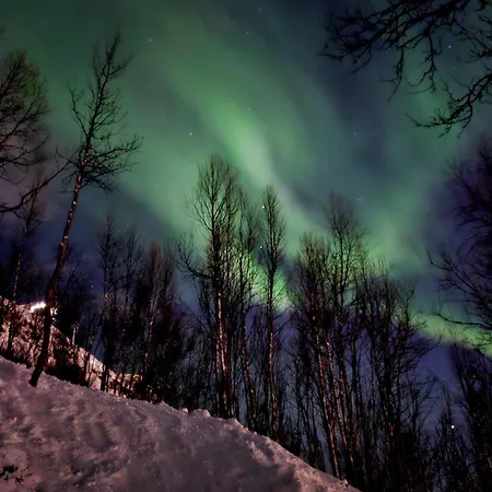 In Tromso, Located Between The Arctic Cathedral And The Cable Car Apartment