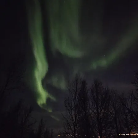 In Tromso, Located Between The Arctic Cathedral And The Cable Car * Tromso